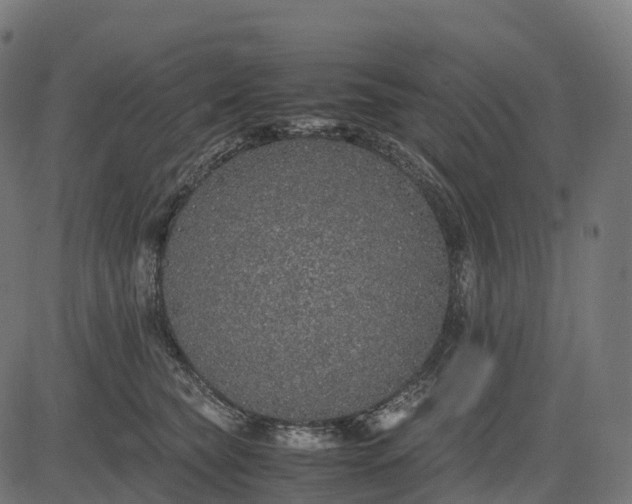 X0000082720565200702091815