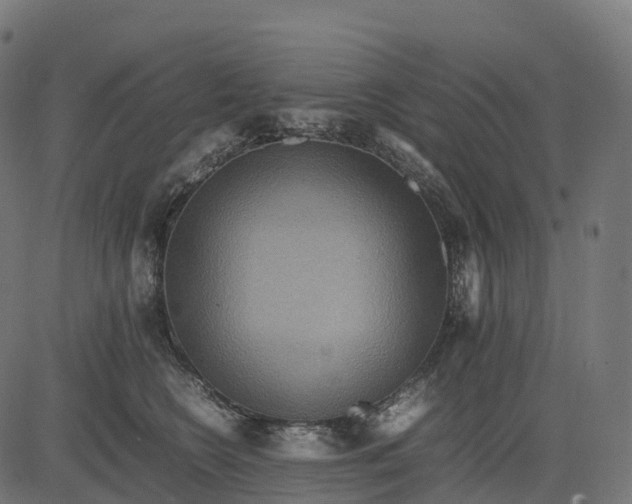 X0000082720566200702091815