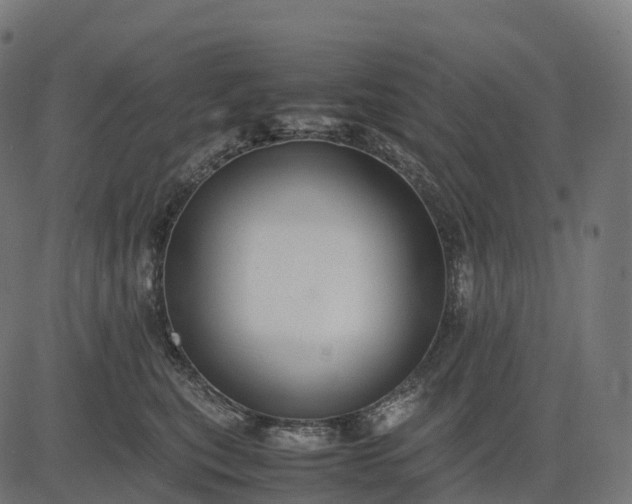 X0000082720567200702091815