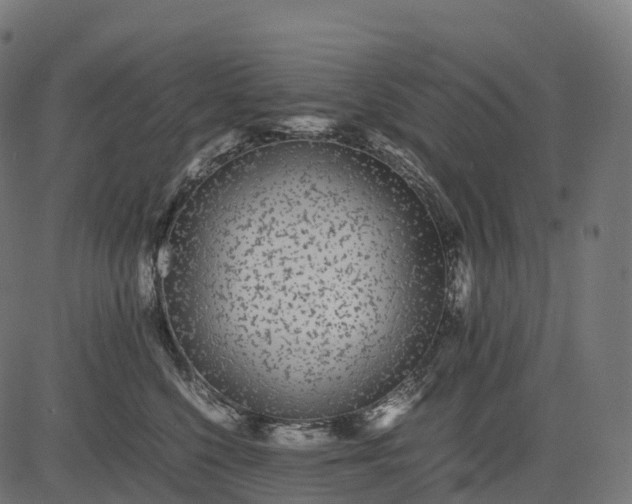 X0000082720568200702091815