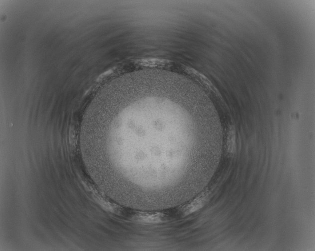 X0000082720569200702091815