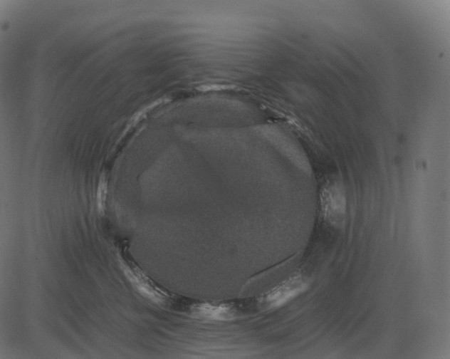 X0000082720570200702091815