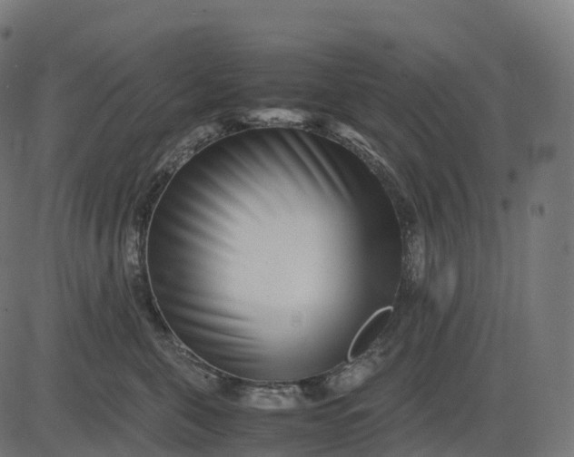 X0000082720571200702091815