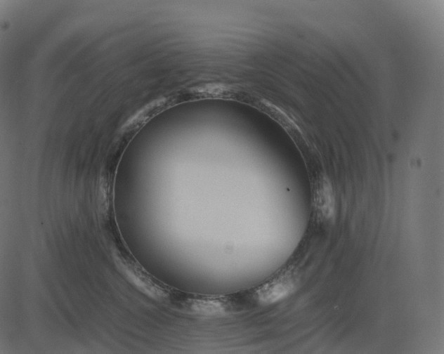 X0000082720572200702091815