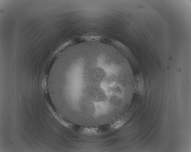 X0000082720573200702091815