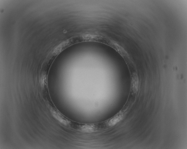 X0000082720574200702091816