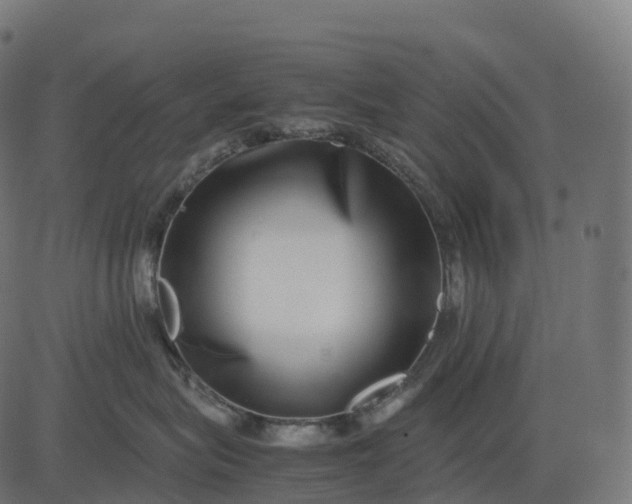 X0000082720575200702091816