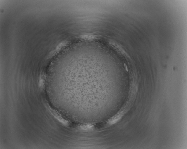 X0000082720576200702091816