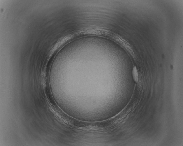 X0000082720578200702091815