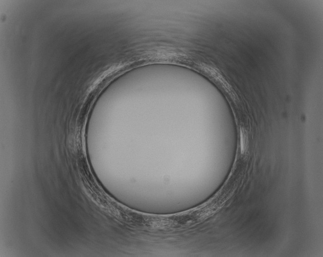 X0000082720579200702091815