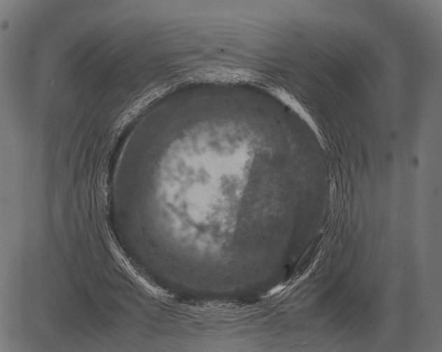 X0000082720581200702091815