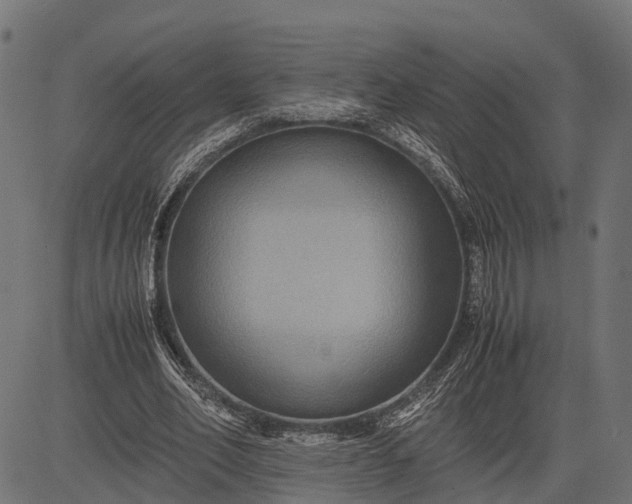 X0000082720582200702091815