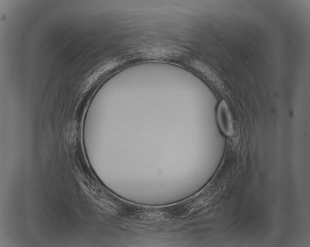 X0000082720583200702091815