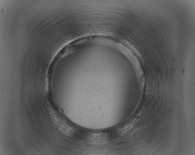 X0000082720584200702091815