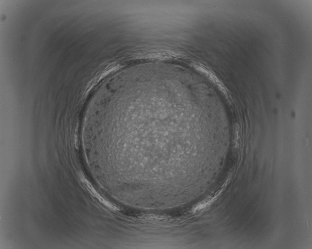 X0000082720585200702091815