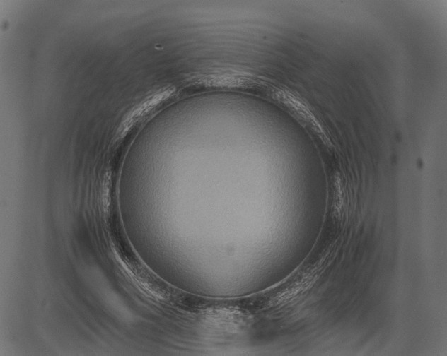 X0000082720586200702091815