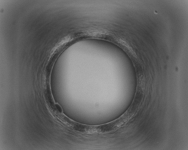 X0000082720587200702091815