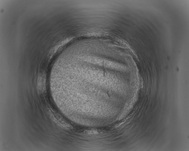 X0000082720588200702091815