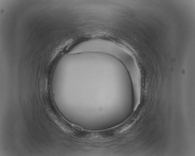 X0000082720589200702091815