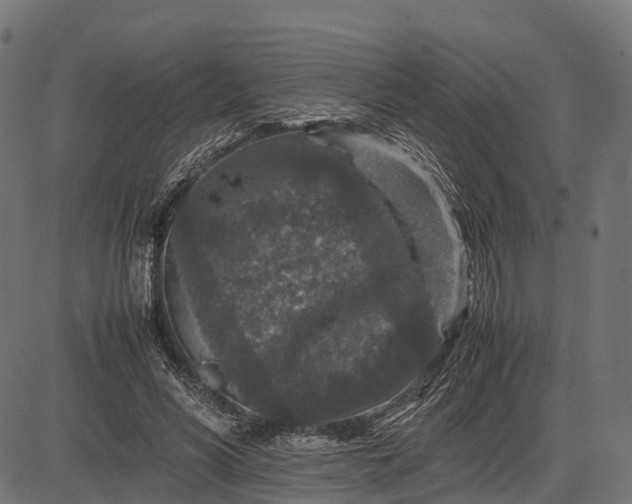 X0000082720590200702091815