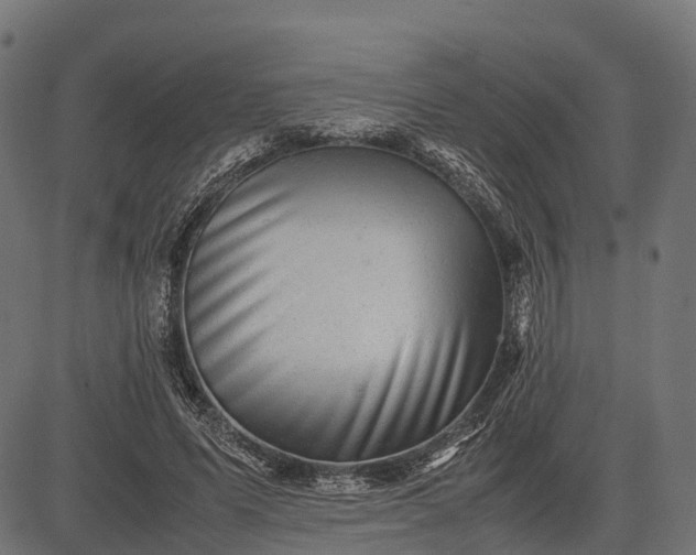 X0000082720591200702091815