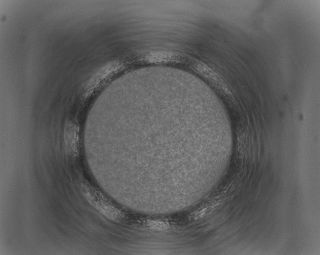 X0000082720592200702091815