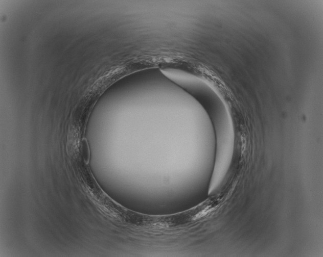 X0000082720593200702091815