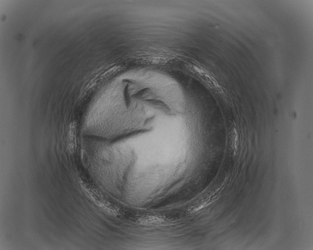 X0000082720594200702091814