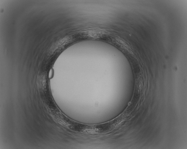 X0000082720595200702091814