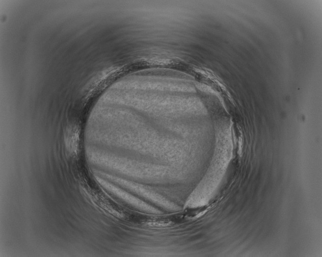 X0000082720596200702091814