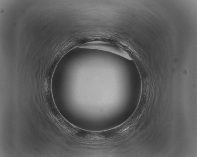 X0000082720597200702091814