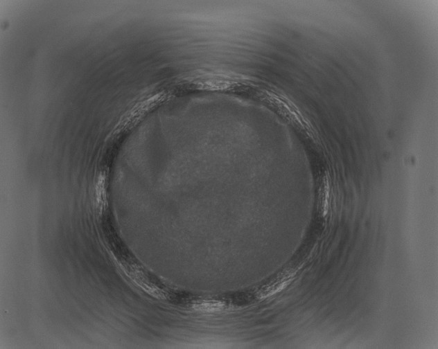 X0000082720598200702091814