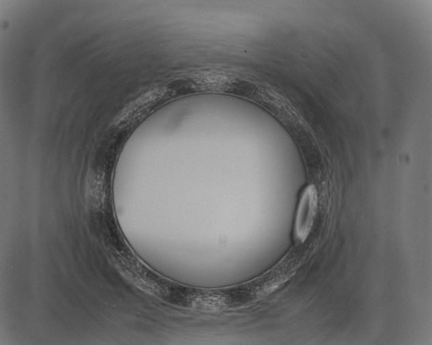 X0000082720599200702091814