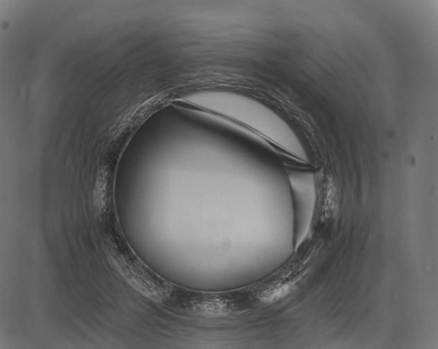 X0000082720600200702091814