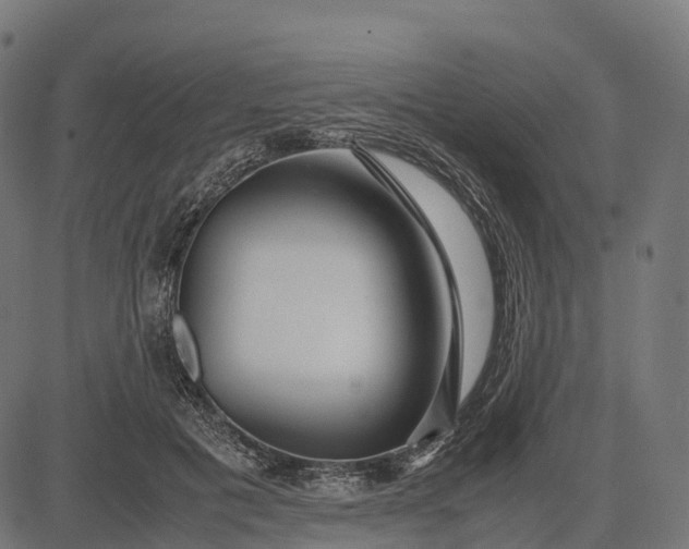 X0000082720601200702091814