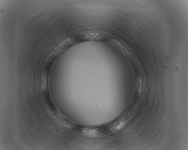 X0000082720602200702091814