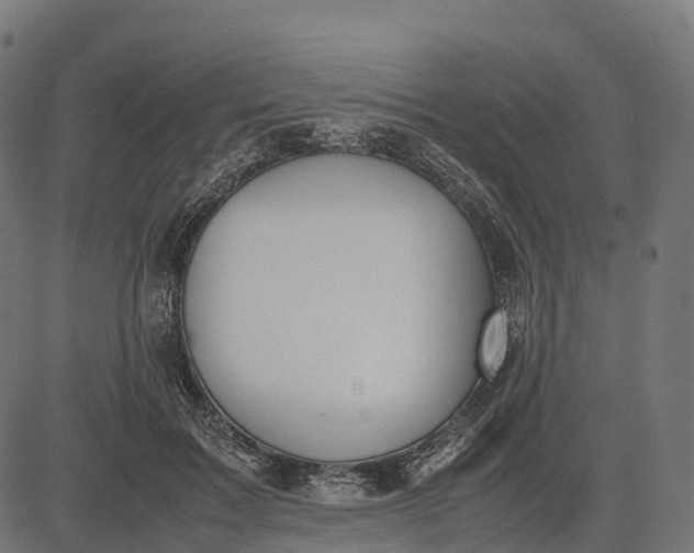 X0000082720603200702091814