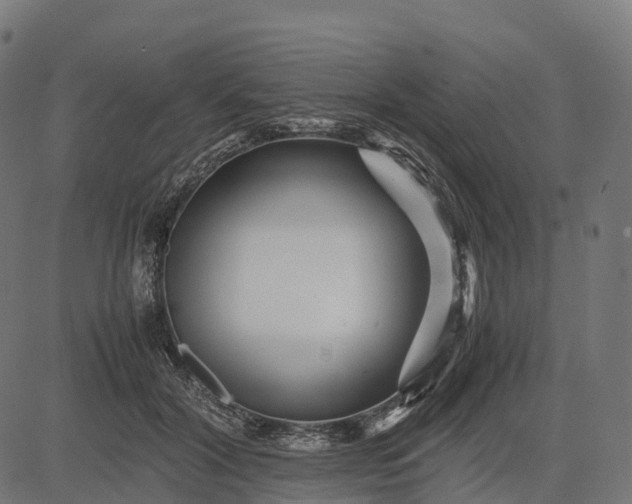 X0000082720604200702091814