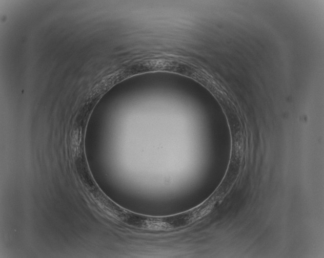 X0000082720605200702091814