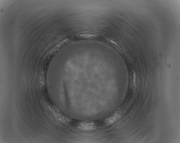 X0000082720606200702091814