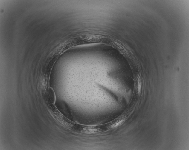 X0000082720607200702091814