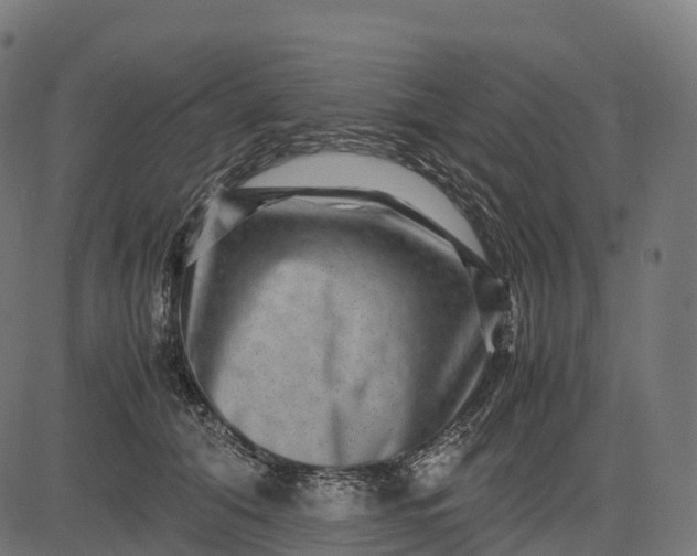 X0000082720608200702091814