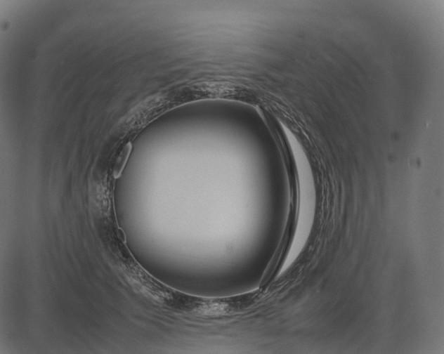 X0000082720609200702091814