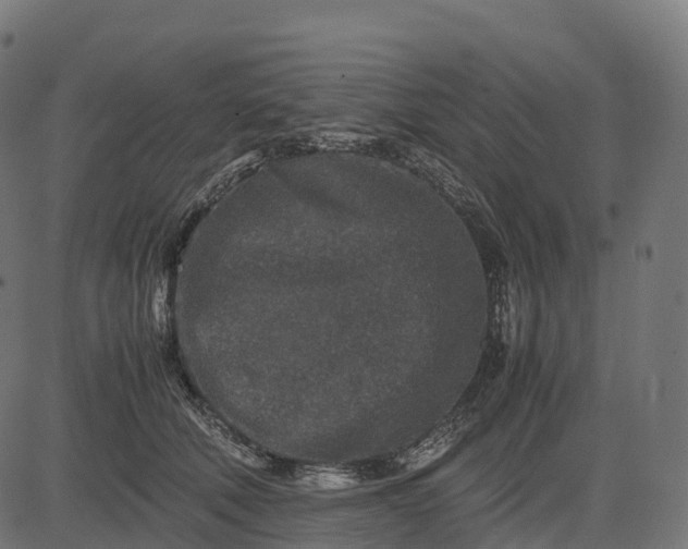 X0000082720610200702091814