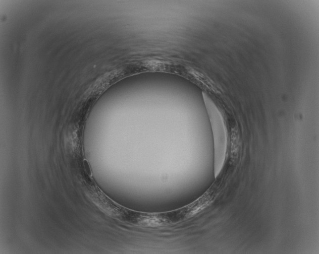 X0000082720611200702091814