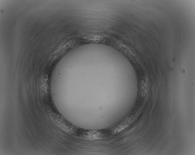 X0000082720612200702091814