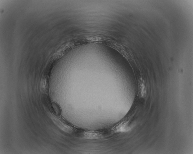 X0000082720614200702091814