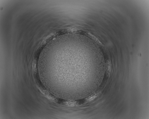 X0000082720615200702091814