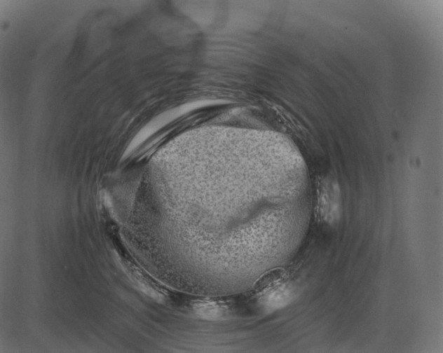 X0000082720616200702091814