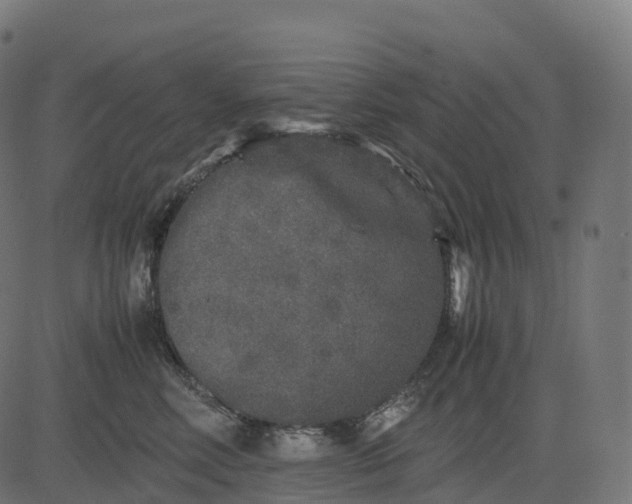 X0000082720618200702091814